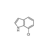 CAS 53924-05-3 | 7-chloroindole